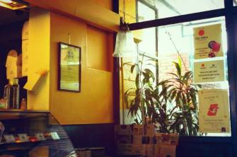 10583967_256102291267144_4643158900686809015_n