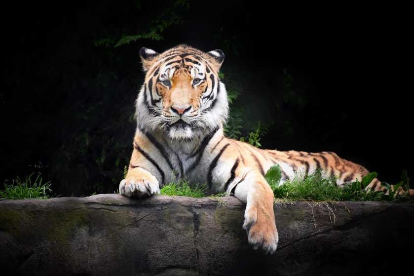 7451E36B-5A2D-4F23-95A1-3282FC507651