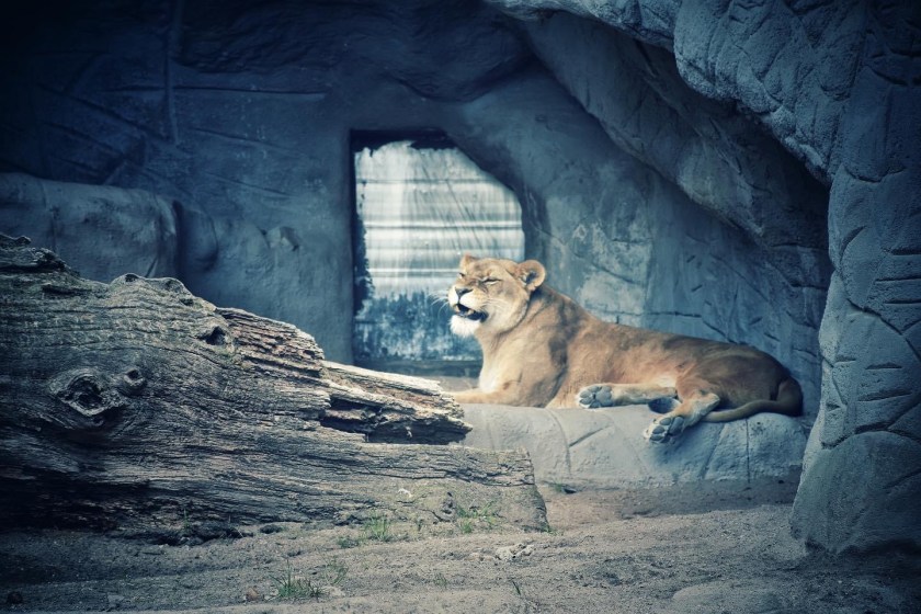 A66FC65C-0721-4668-813C-67B26B43C716