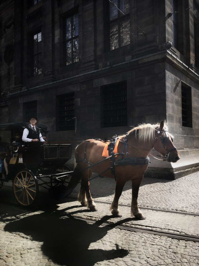 5BD02898-8F6A-4DE8-B25C-1E5EF2FB1C54