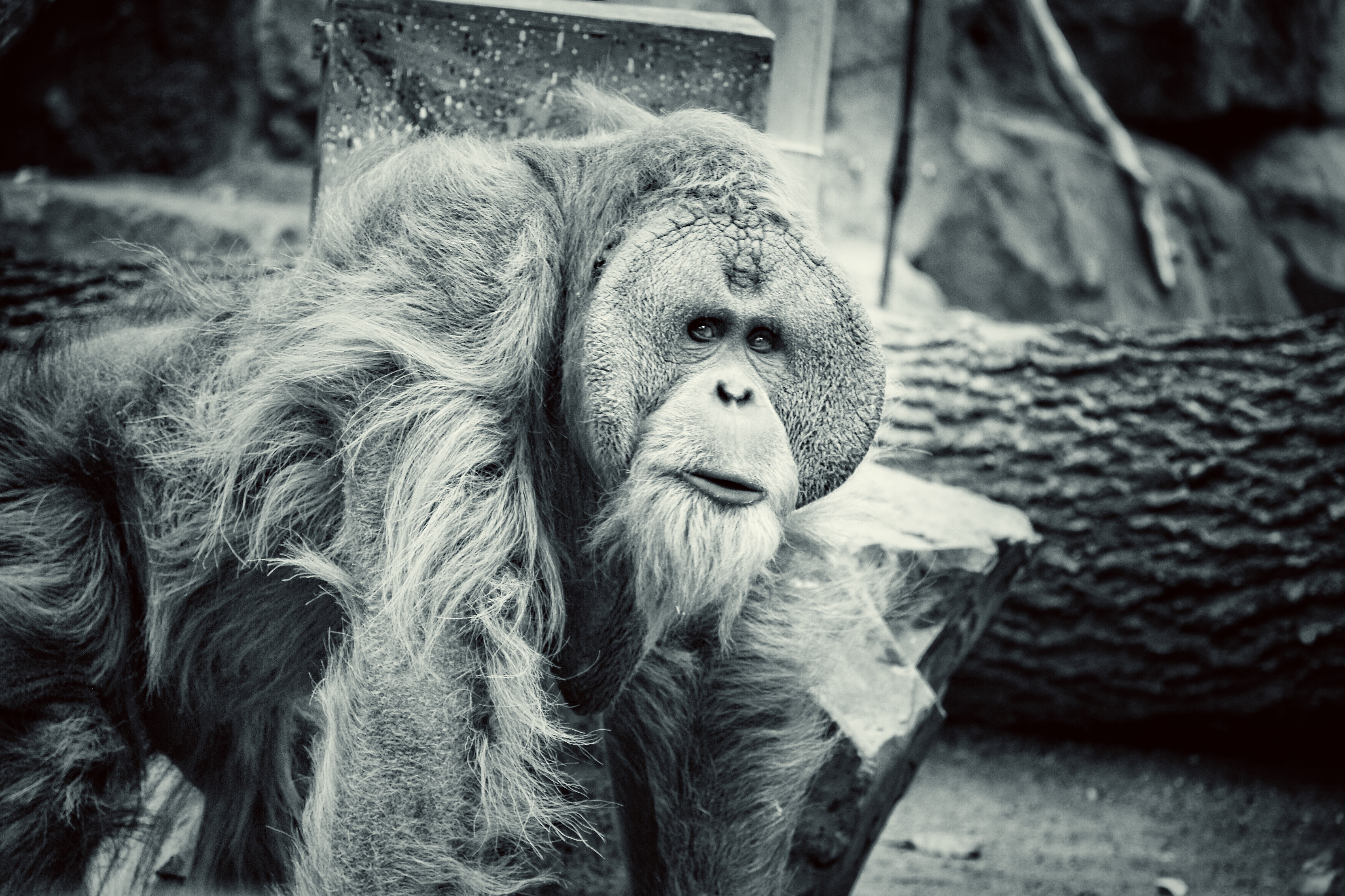 53E1995A-B929-4731-872B-E5CC14B824DF