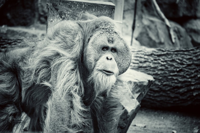 53E1995A-B929-4731-872B-E5CC14B824DF