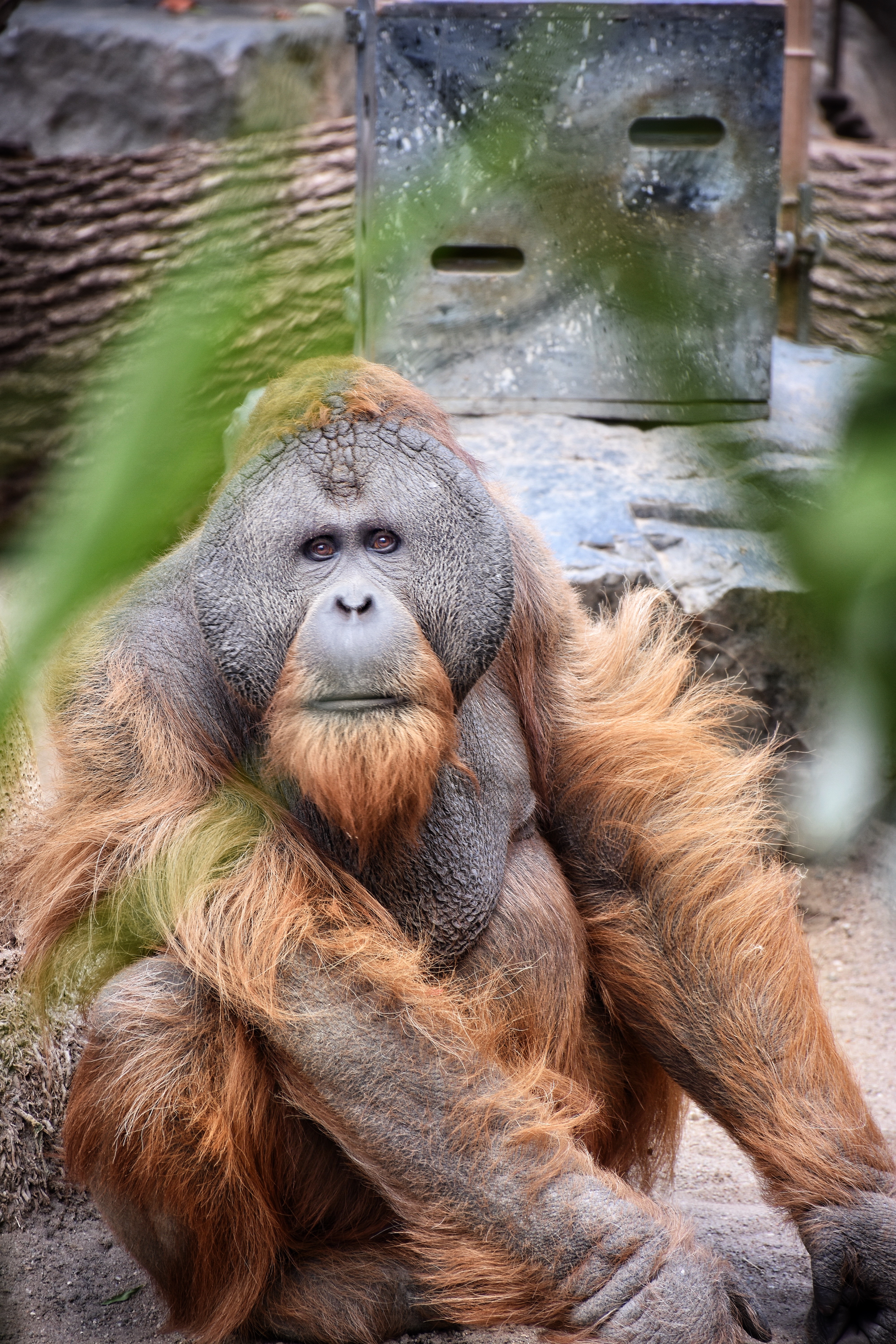 9431DFB0-9399-42D9-A25C-906DF98EC14E