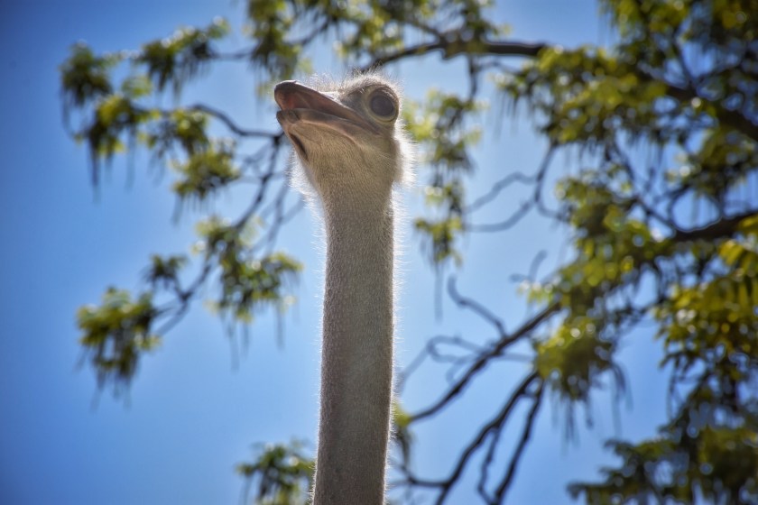 FF3383E5-2BC8-47C1-B7B9-1FE2EBC5BA98